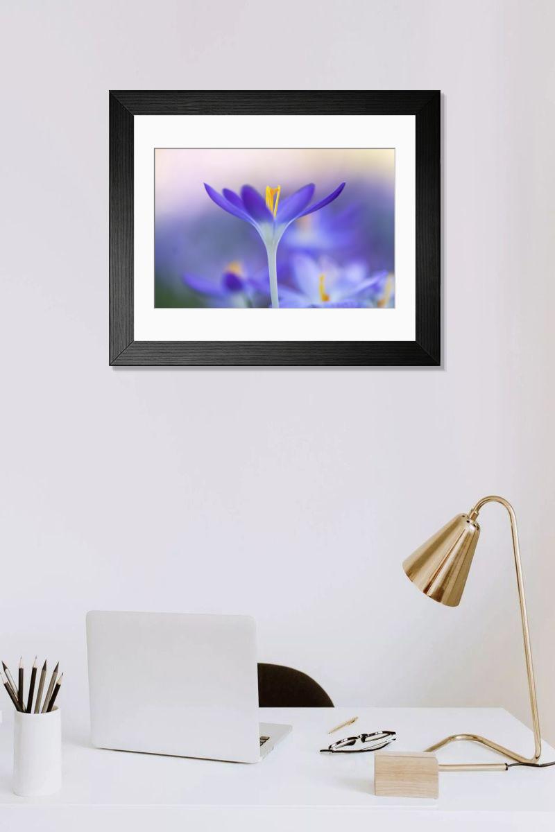 Shown hanging in a room: Modern 14"x12" (36x31cm)