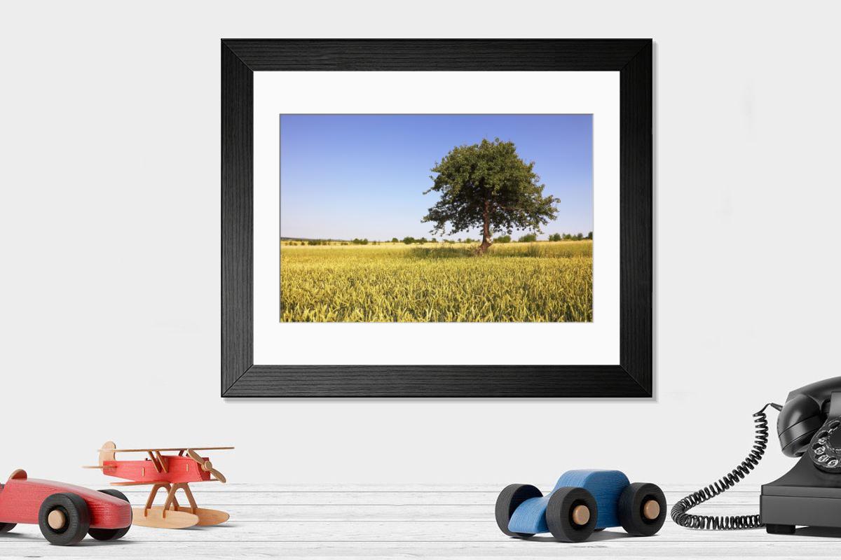 Shown hanging in a room: Modern 14"x12" (36x31cm)