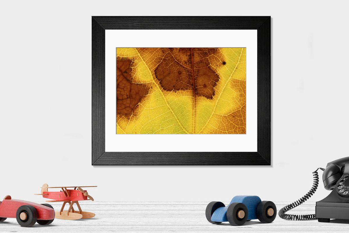Shown hanging in a room: Modern 14"x12" (36x31cm)