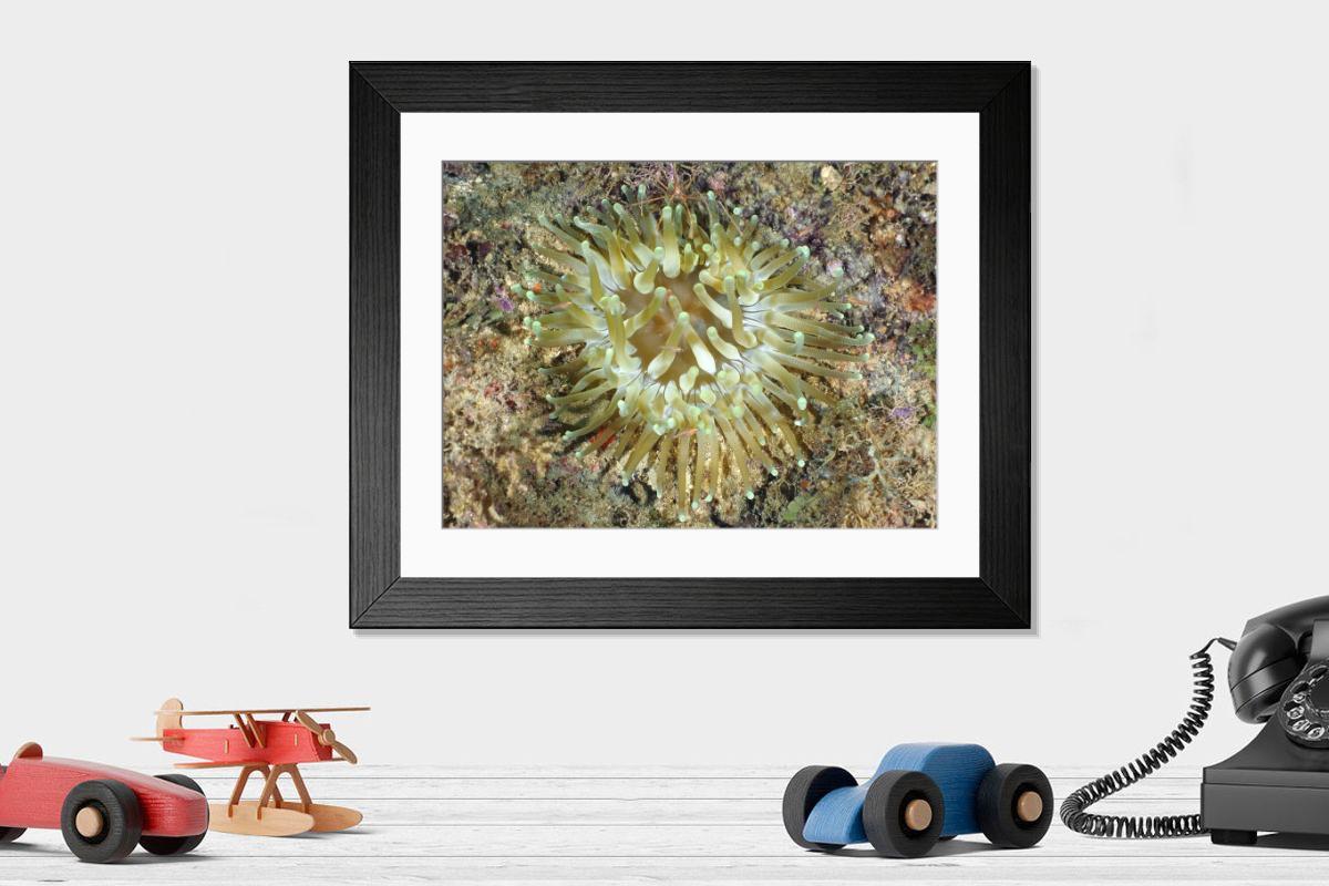 Shown hanging in a room: Modern 14"x12" (36x31cm)