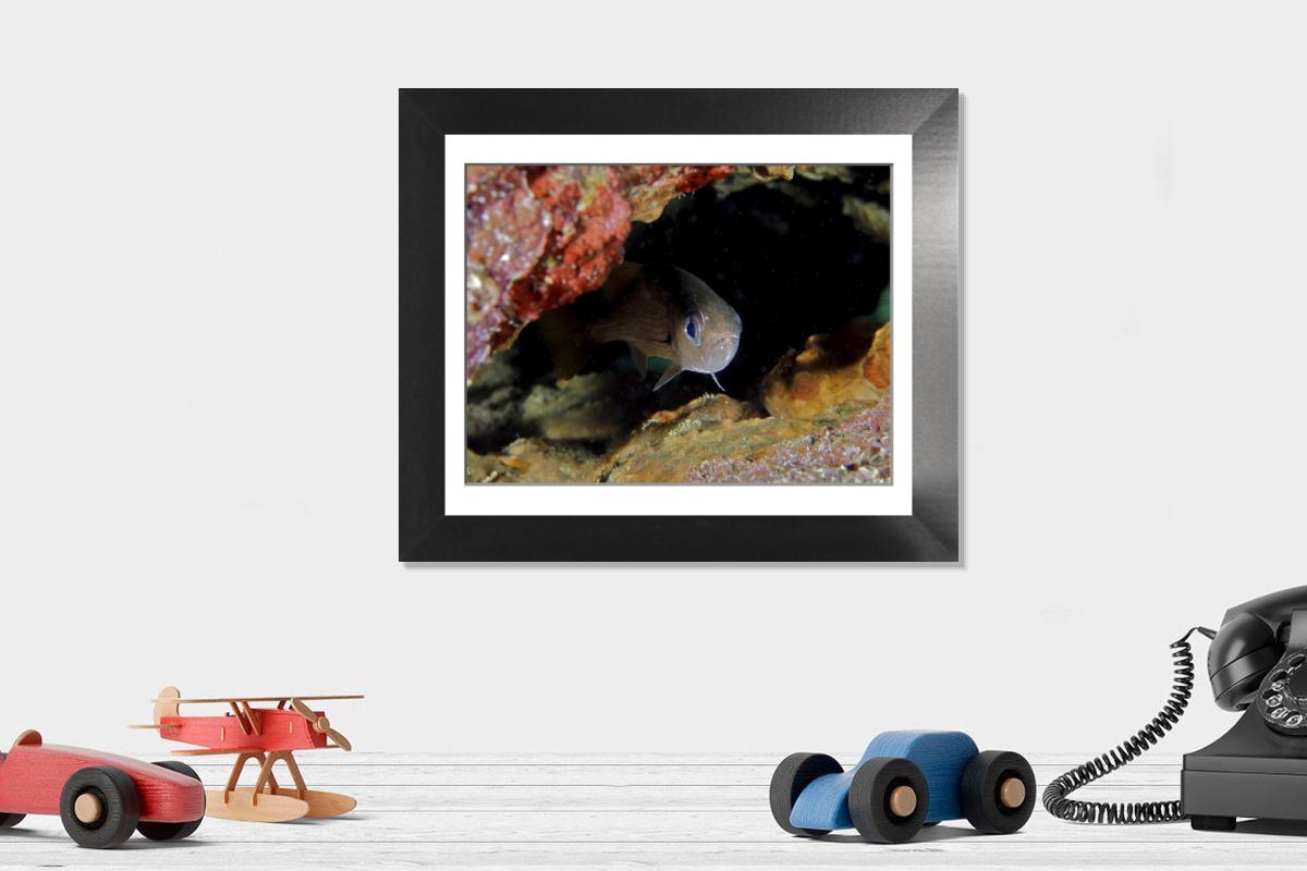 Shown hanging in a room: Modern 12"x10"