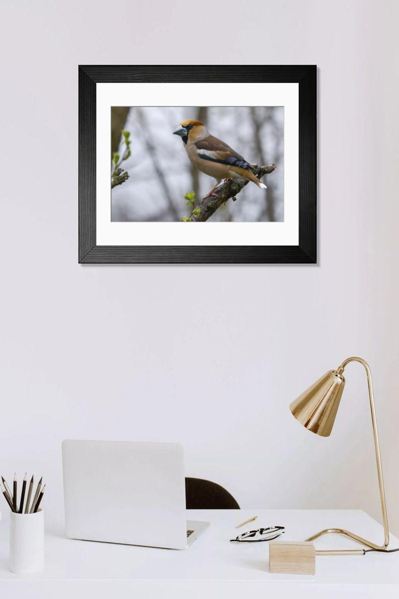 Shown hanging in a room: Modern 14"x12" (36x31cm)