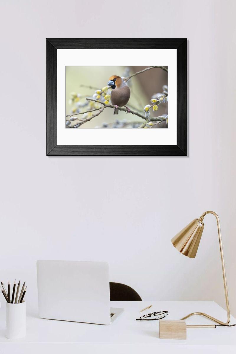 Shown hanging in a room: Modern 14"x12" (36x31cm)