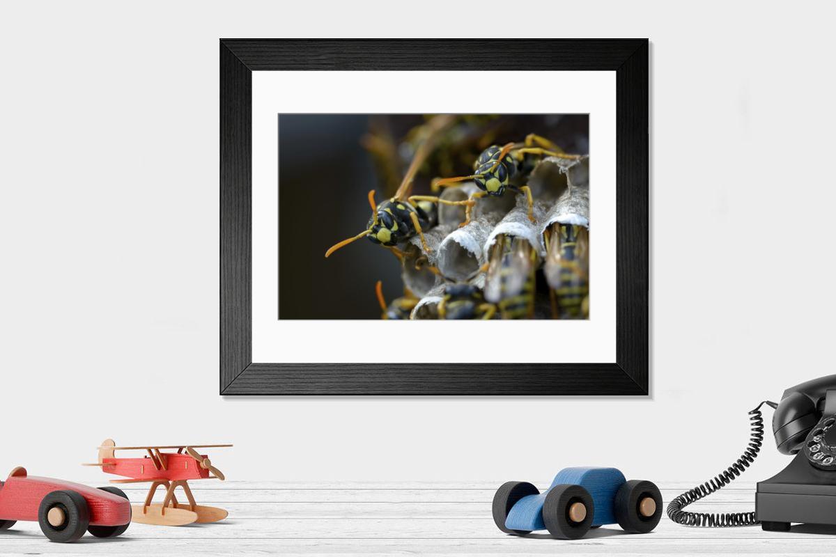 Shown hanging in a room: Modern 14"x12" (36x31cm)