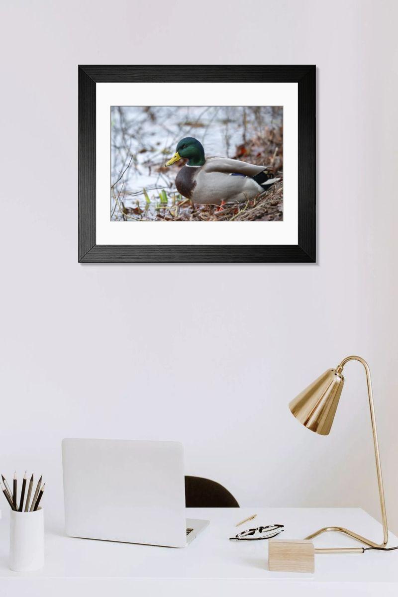 Shown hanging in a room: Modern 14"x12" (36x31cm)