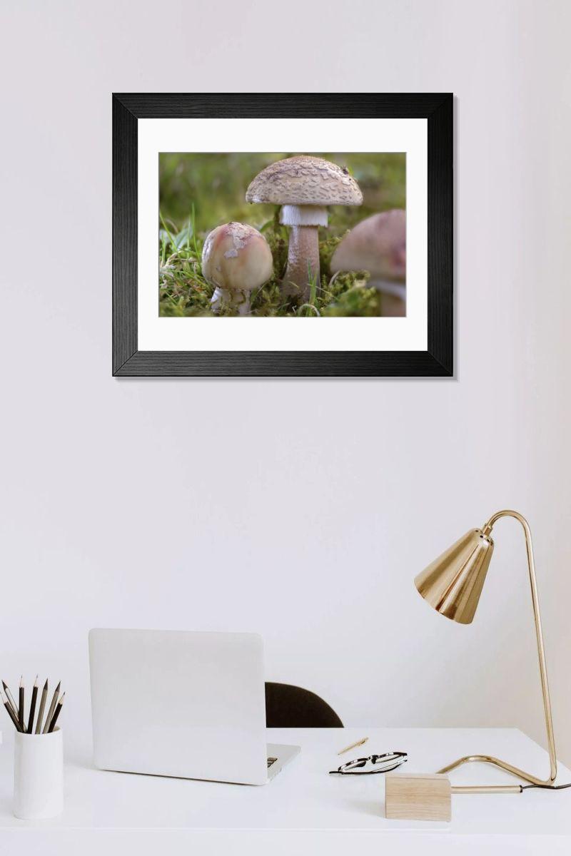 Shown hanging in a room: Modern 14"x12" (36x31cm)
