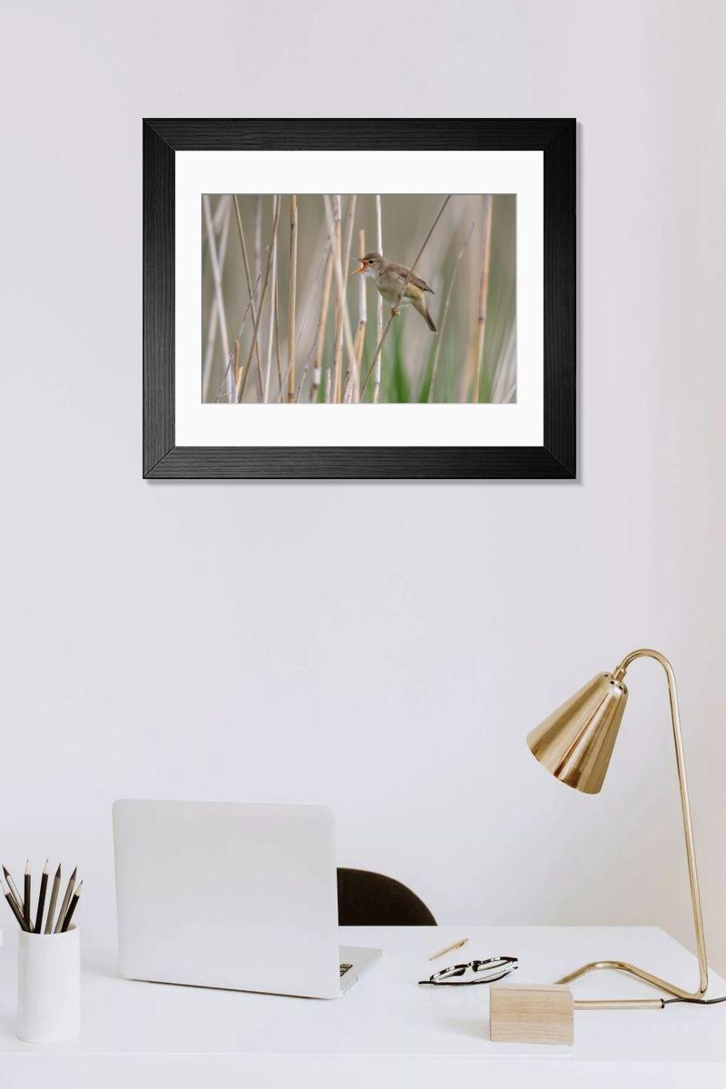 Shown hanging in a room: Modern 14"x12" (36x31cm)