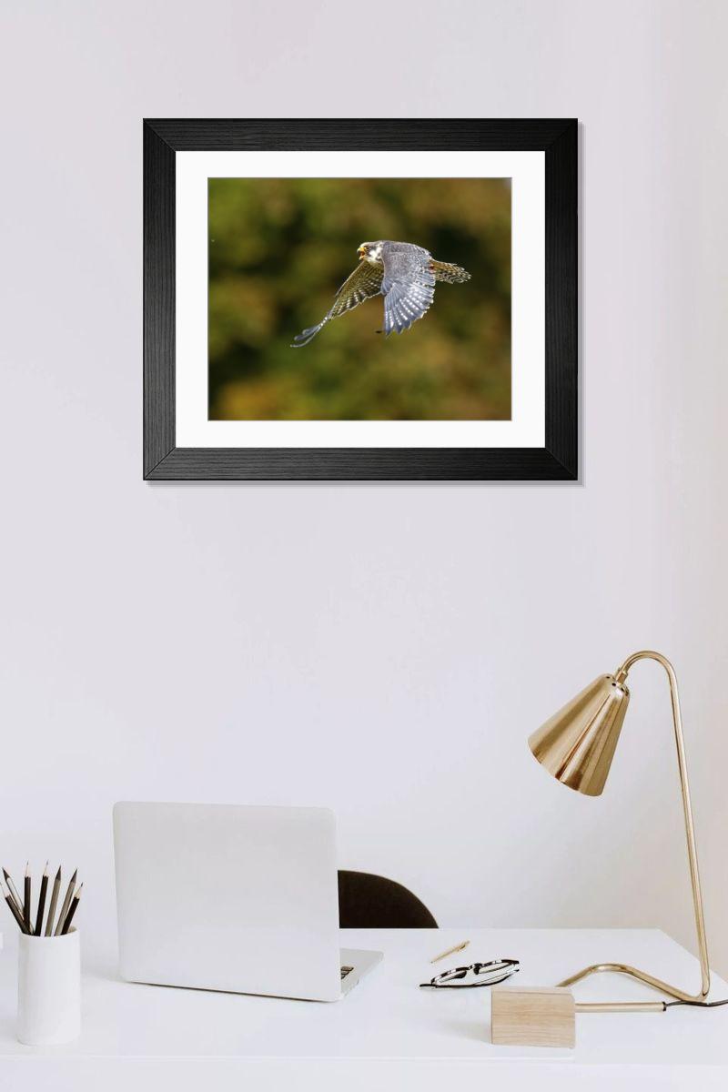 Shown hanging in a room: Modern 14"x12" (36x31cm)