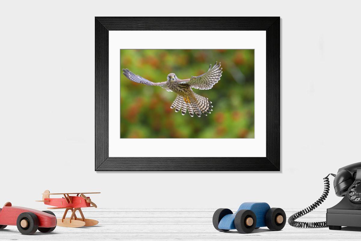 Shown hanging in a room: Modern 14"x12" (36x31cm)