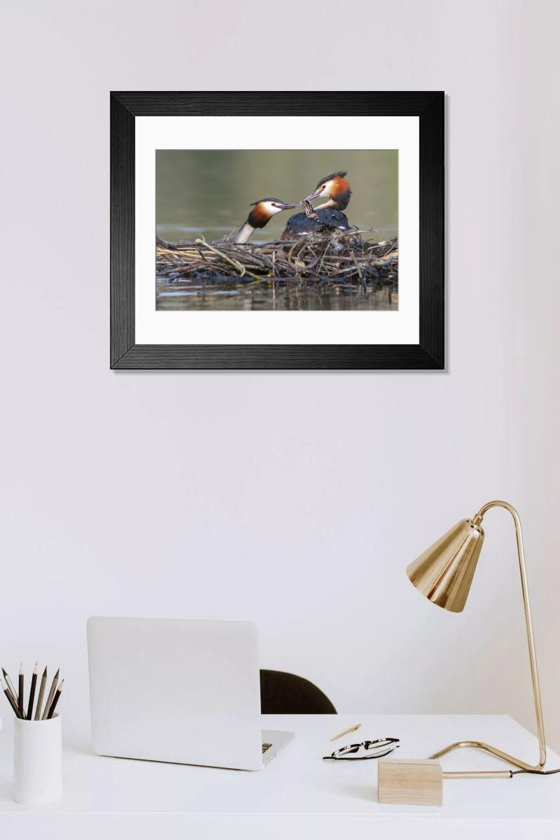 Shown hanging in a room: Modern 14"x12" (36x31cm)