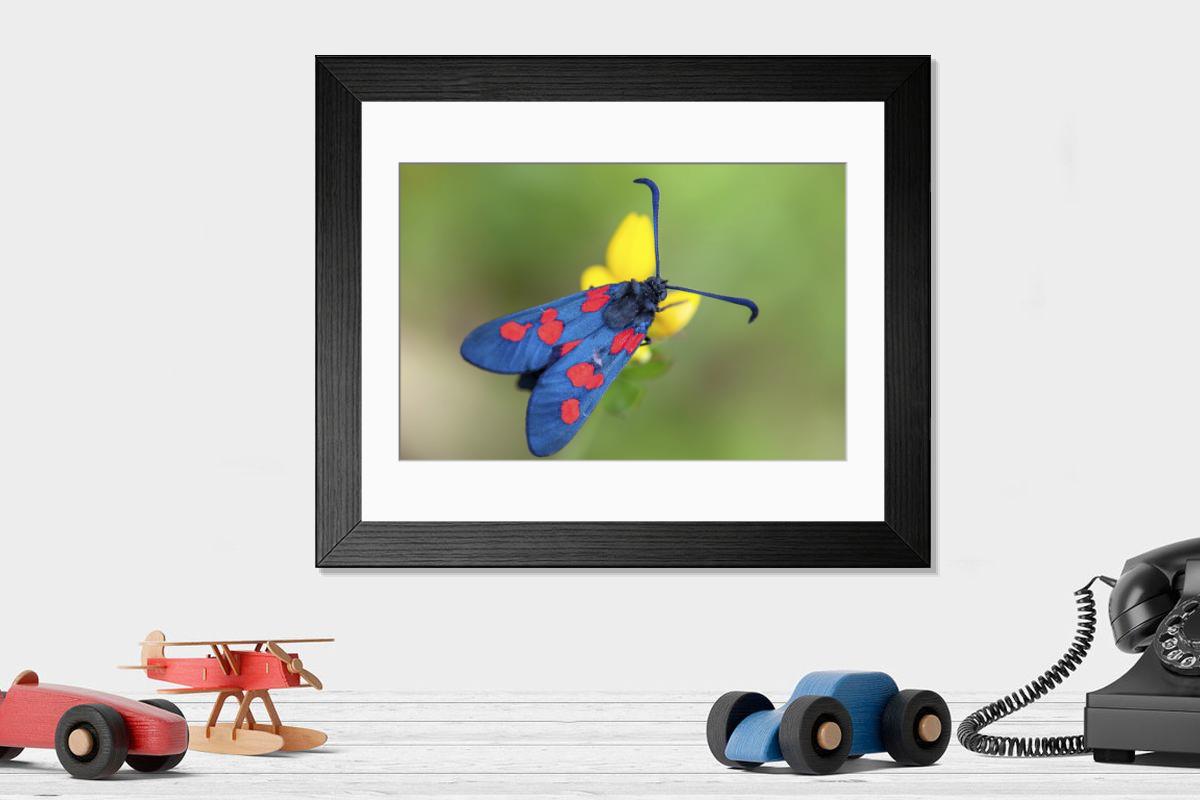 Shown hanging in a room: Modern 14"x12" (36x31cm)