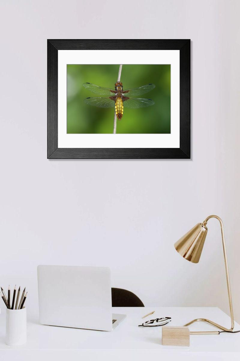 Shown hanging in a room: Modern 14"x12" (36x31cm)