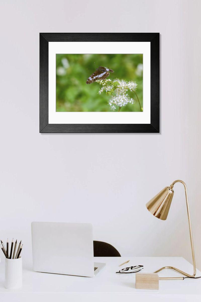 Shown hanging in a room: Modern 14"x12" (36x31cm)