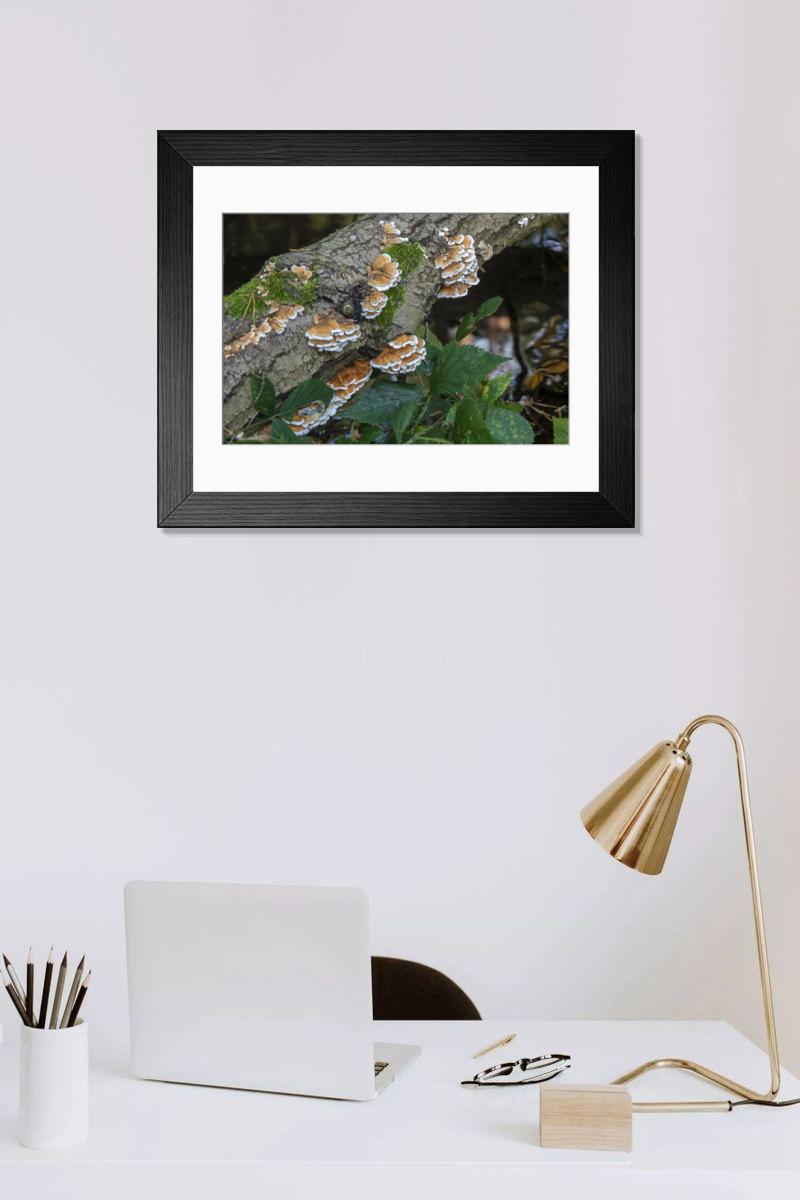 Shown hanging in a room: Modern 14"x12" (36x31cm)