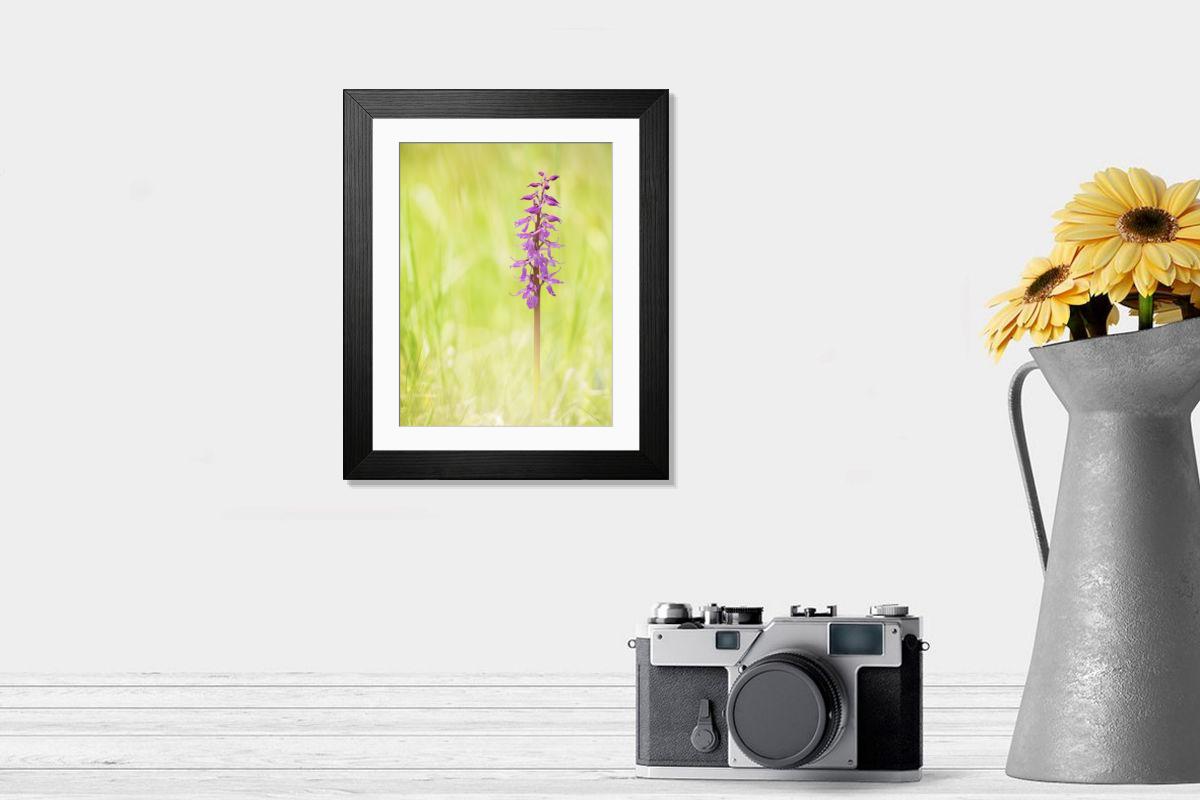 Shown hanging in a room: Modern 14"x12" (36x31cm)