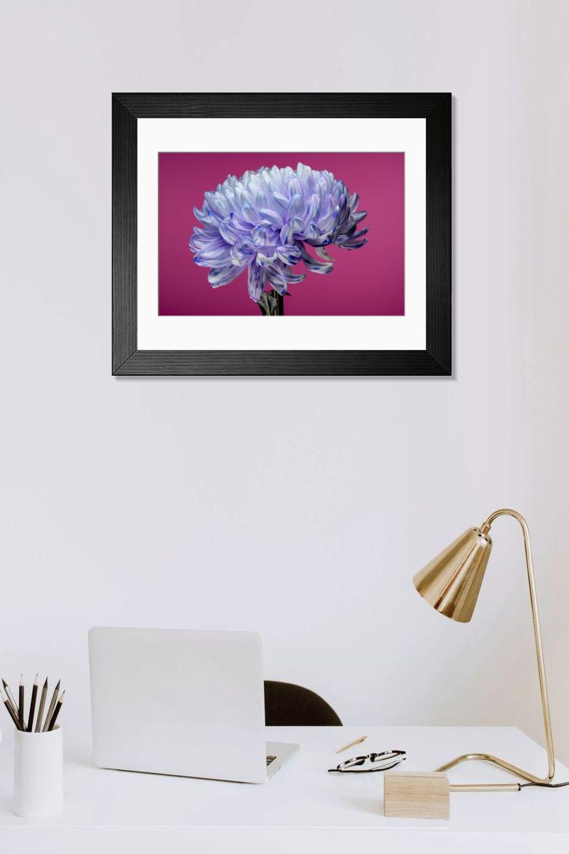 Shown hanging in a room: Modern 14"x12" (36x31cm)