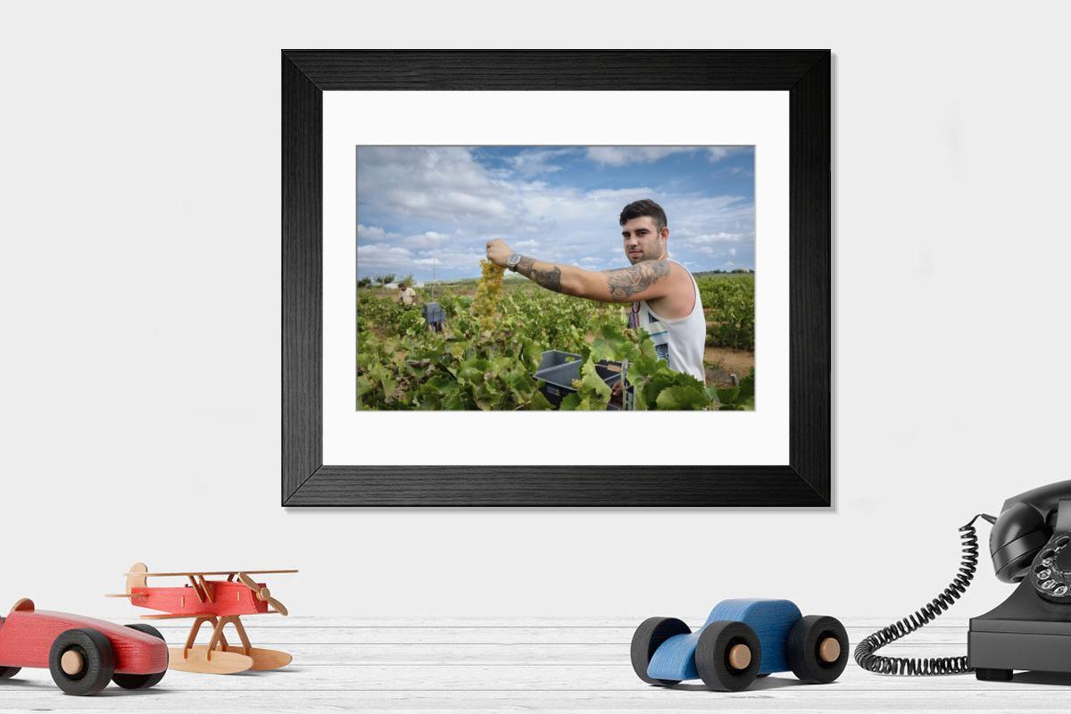 product preview 0