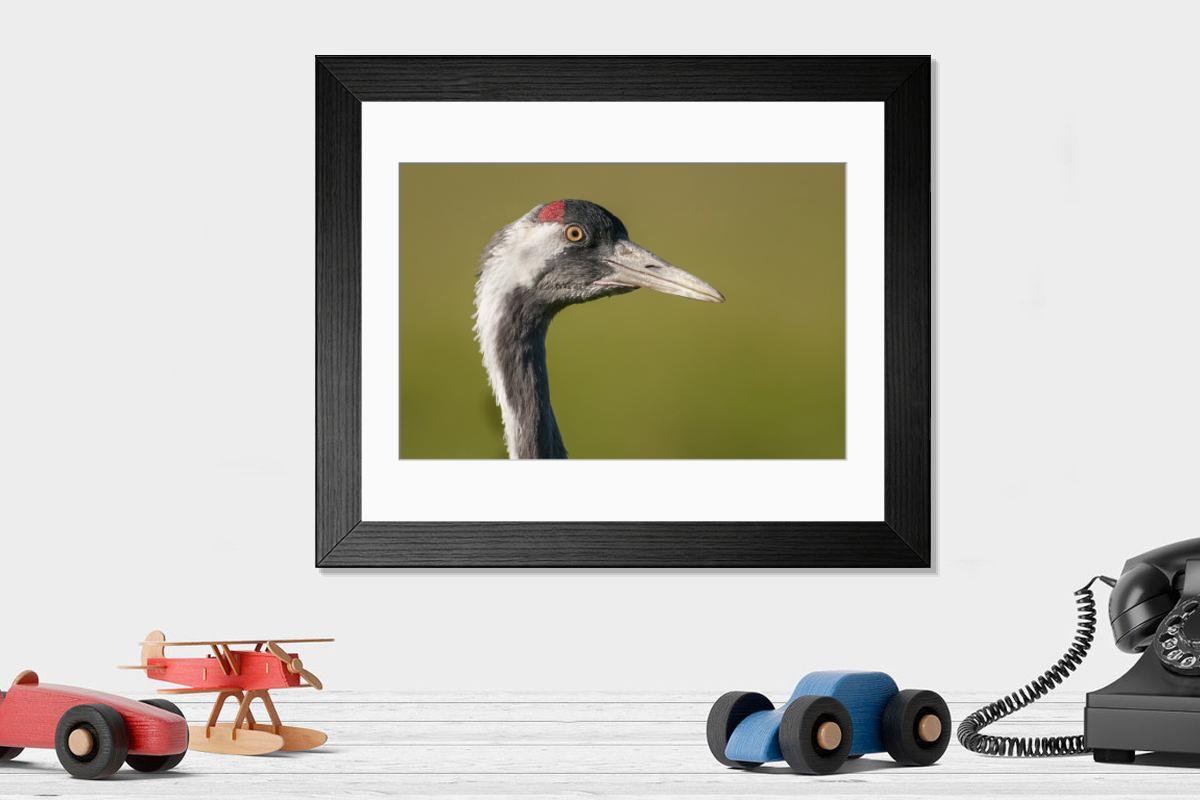Shown hanging in a room: Modern 14"x12" (36x31cm)