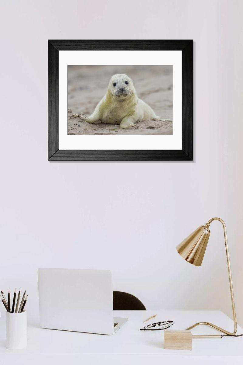 Shown hanging in a room: Modern 14"x12" (36x31cm)