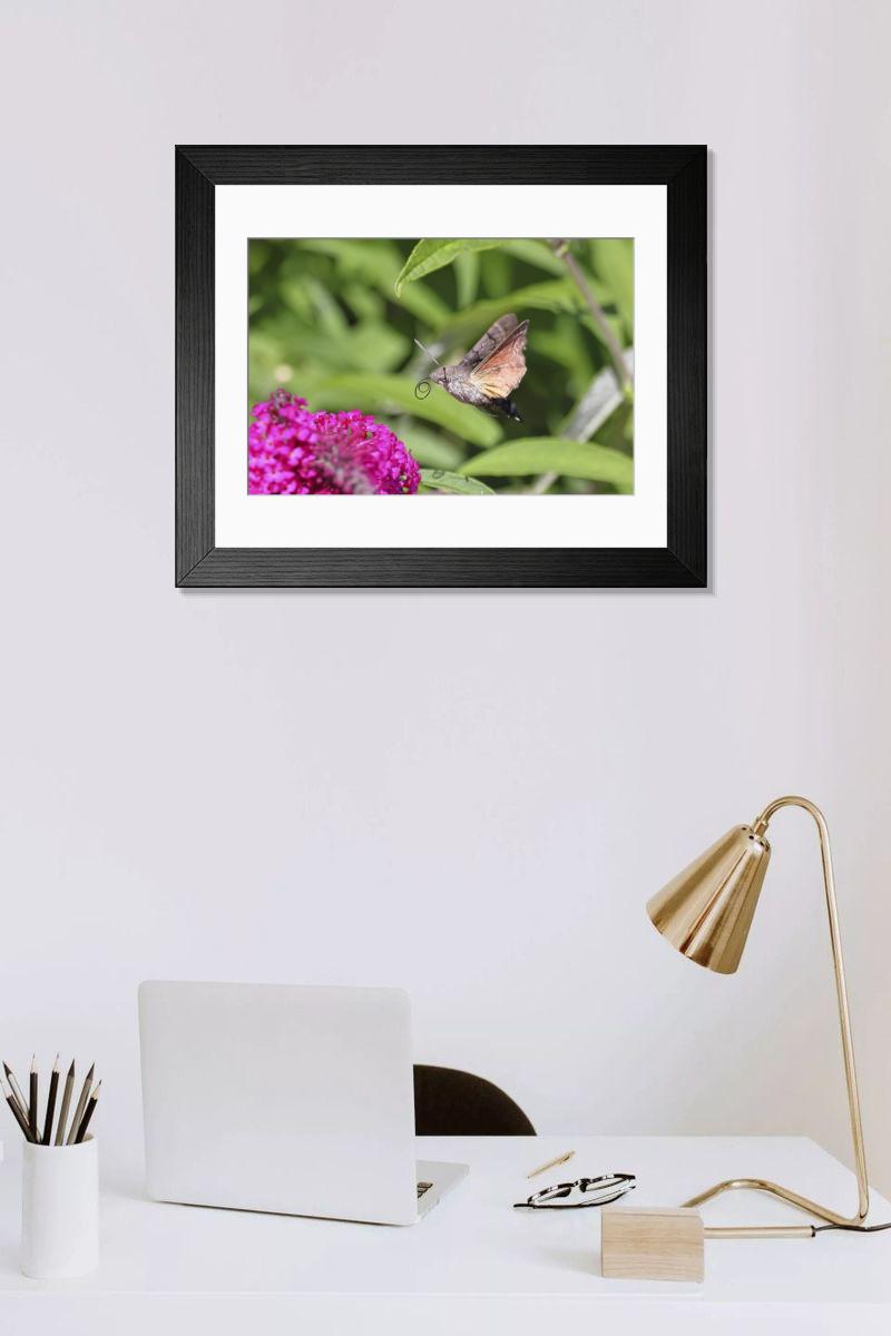 Shown hanging in a room: Modern 14"x12" (36x31cm)