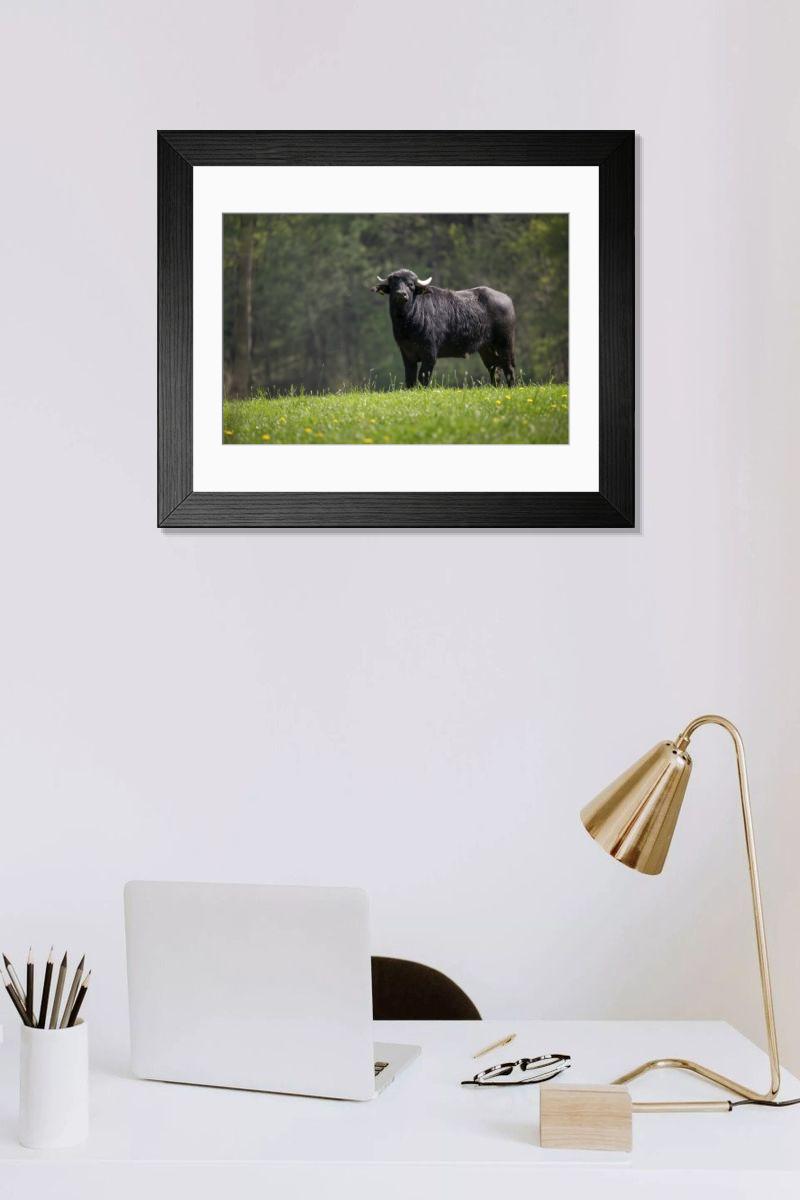 Shown hanging in a room: Modern 14"x12" (36x31cm)