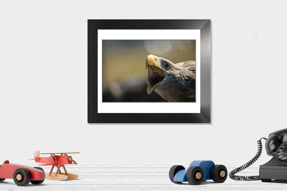 Shown hanging in a room: Modern 12"x10"