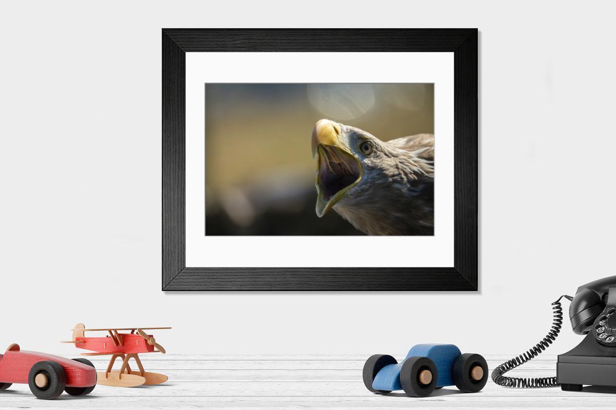 Shown hanging in a room: Modern 14"x12" (36x31cm)