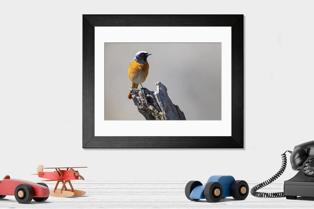 Shown hanging in a room: Modern 14"x12" (36x31cm)