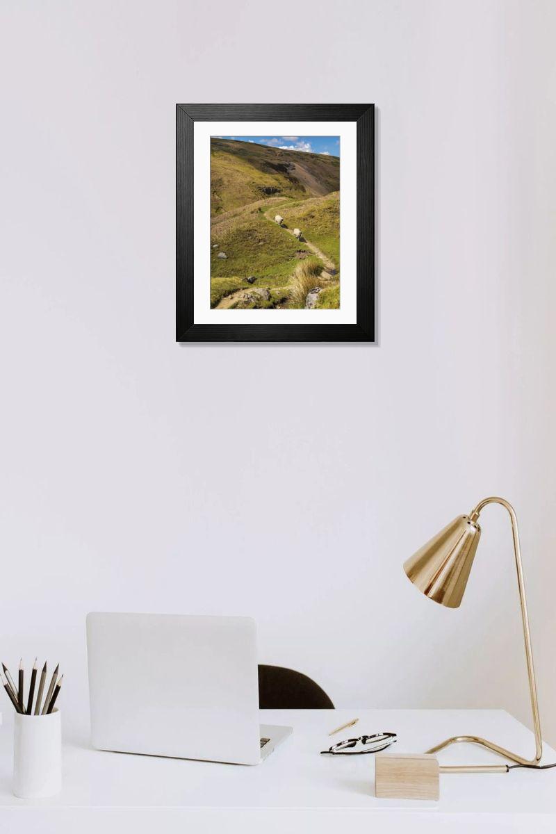 product preview 0