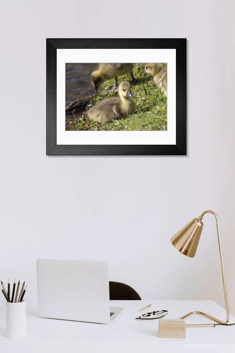 Shown hanging in a room: Modern 14"x12" (36x31cm)