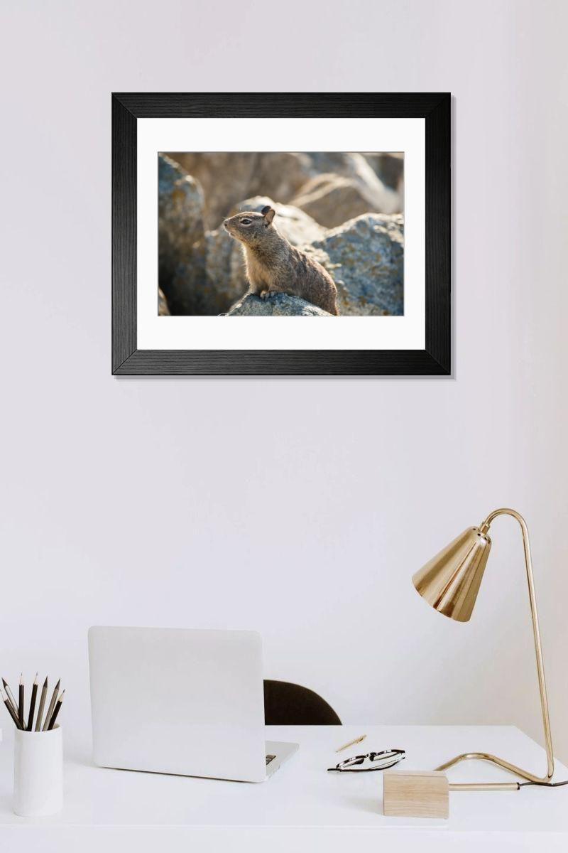 Shown hanging in a room: Modern 14"x12" (36x31cm)