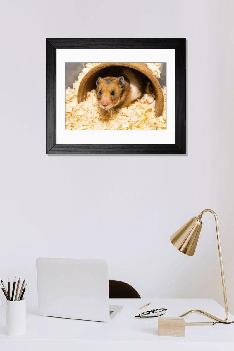 Shown hanging in a room: Modern 14"x12" (36x31cm)