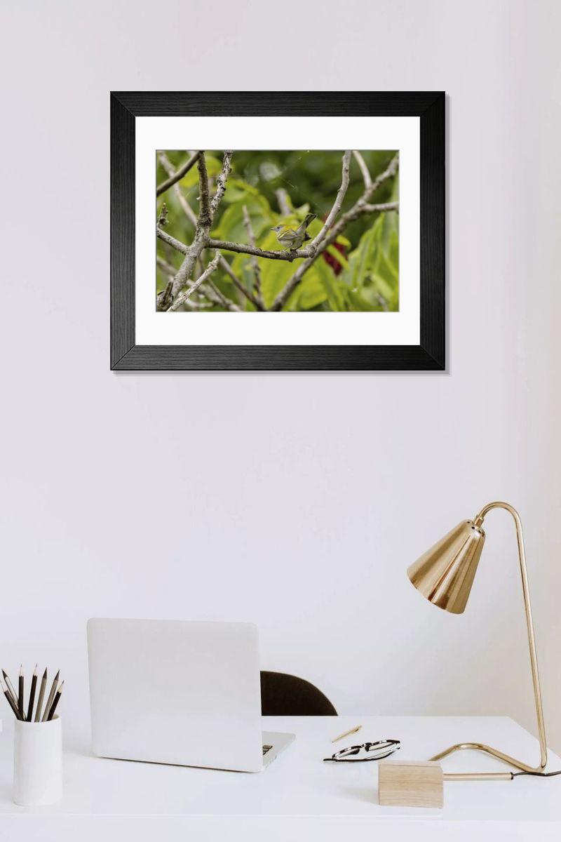 Shown hanging in a room: Modern 14"x12" (36x31cm)