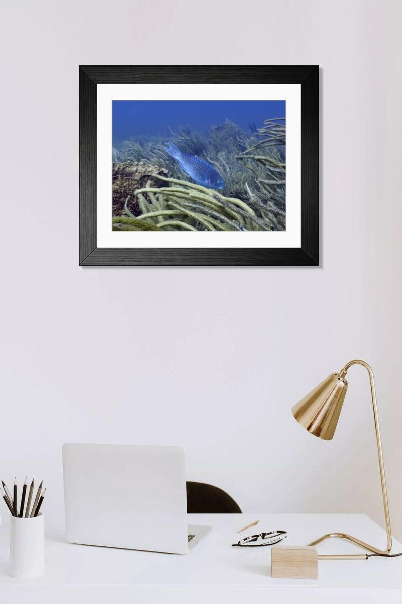 Shown hanging in a room: Modern 14"x12" (36x31cm)