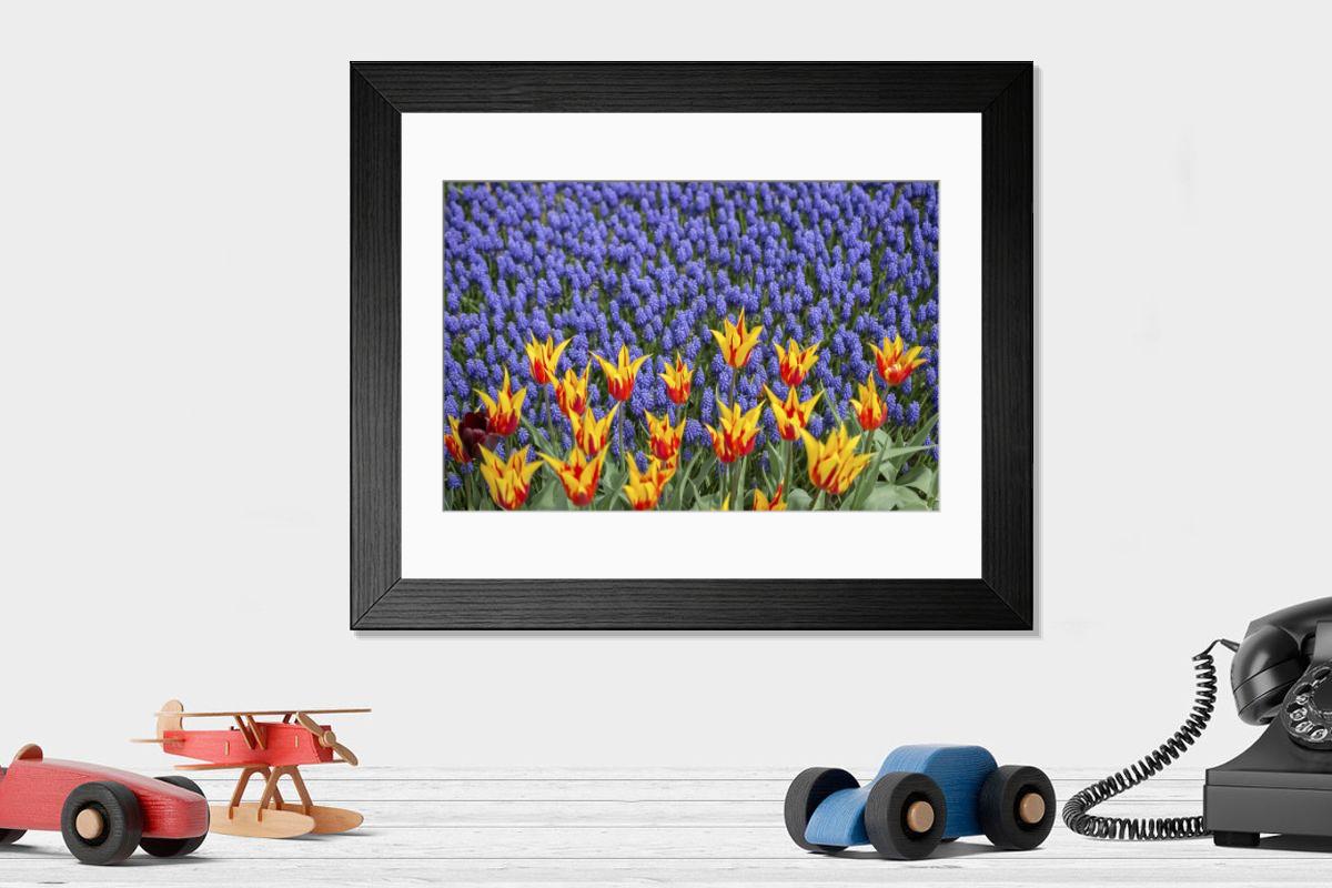 Shown hanging in a room: Modern 14"x12" (36x31cm)