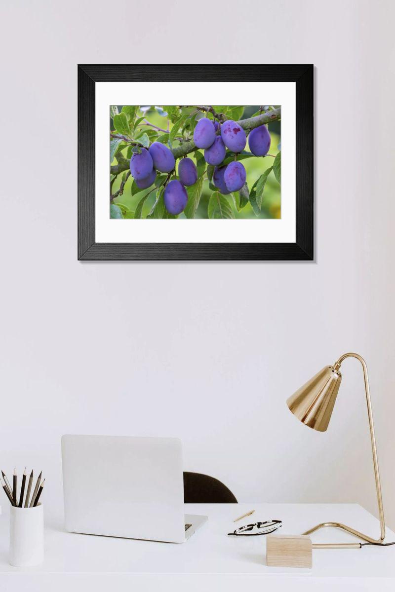 Shown hanging in a room: Modern 14"x12" (36x31cm)