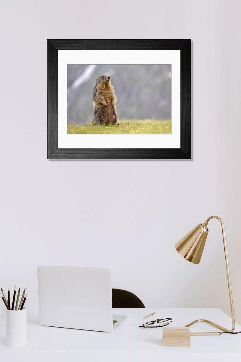 Shown hanging in a room: Modern 14"x12" (36x31cm)