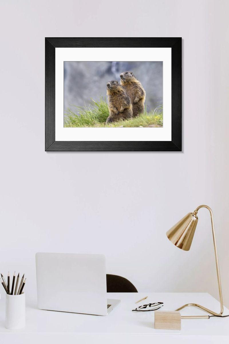 Shown hanging in a room: Modern 14"x12" (36x31cm)