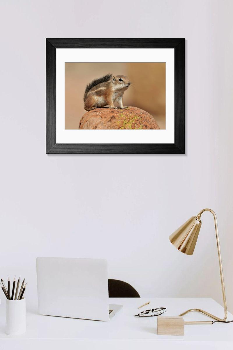 Shown hanging in a room: Modern 14"x12" (36x31cm)