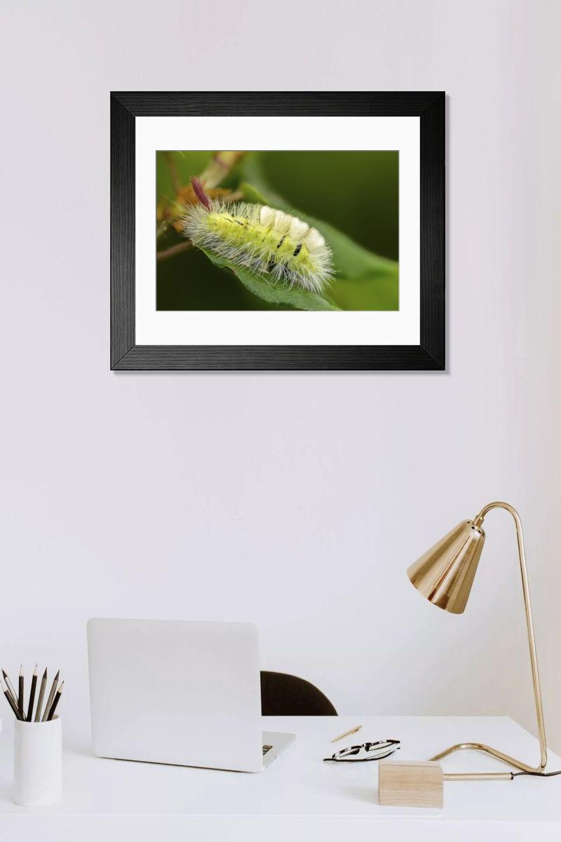 Shown hanging in a room: Modern 14"x12" (36x31cm)