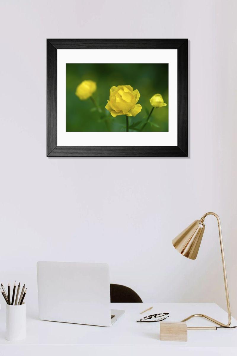 Shown hanging in a room: Modern 14"x12" (36x31cm)