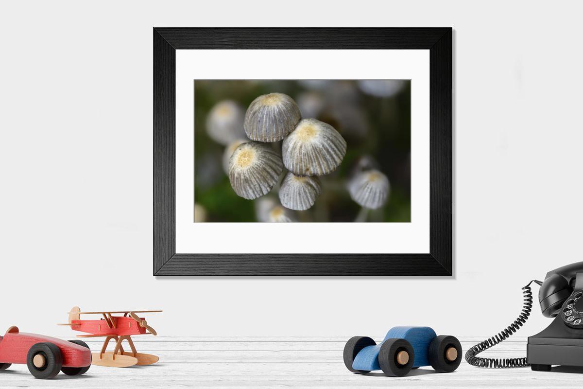 Shown hanging in a room: Modern 14"x12" (36x31cm)