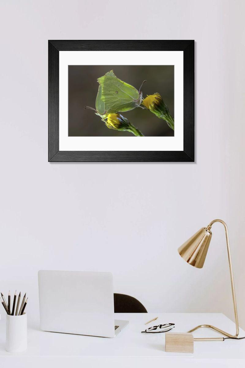 Shown hanging in a room: Modern 14"x12" (36x31cm)