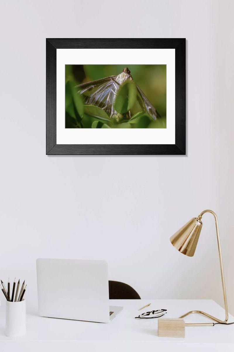 Shown hanging in a room: Modern 14"x12" (36x31cm)