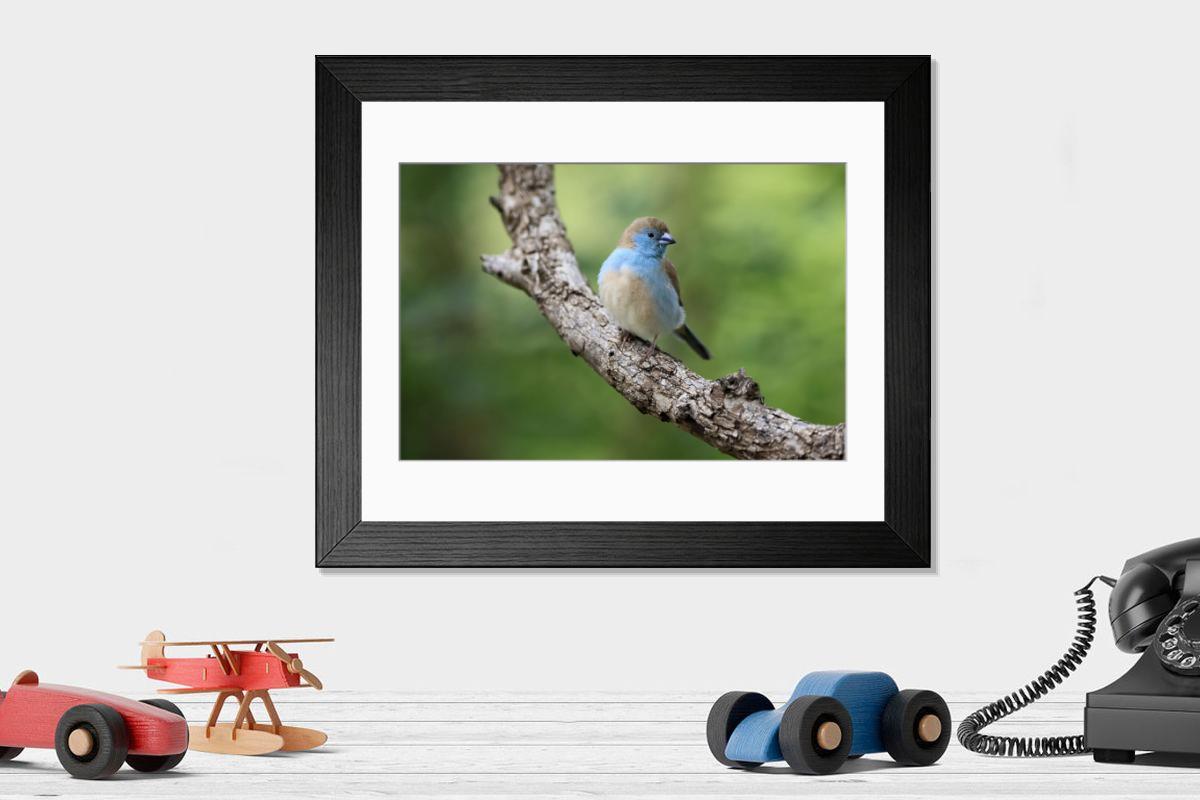 Shown hanging in a room: Modern 14"x12" (36x31cm)