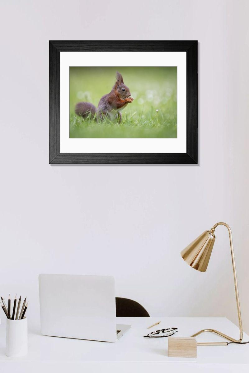 Shown hanging in a room: Modern 14"x12" (36x31cm)