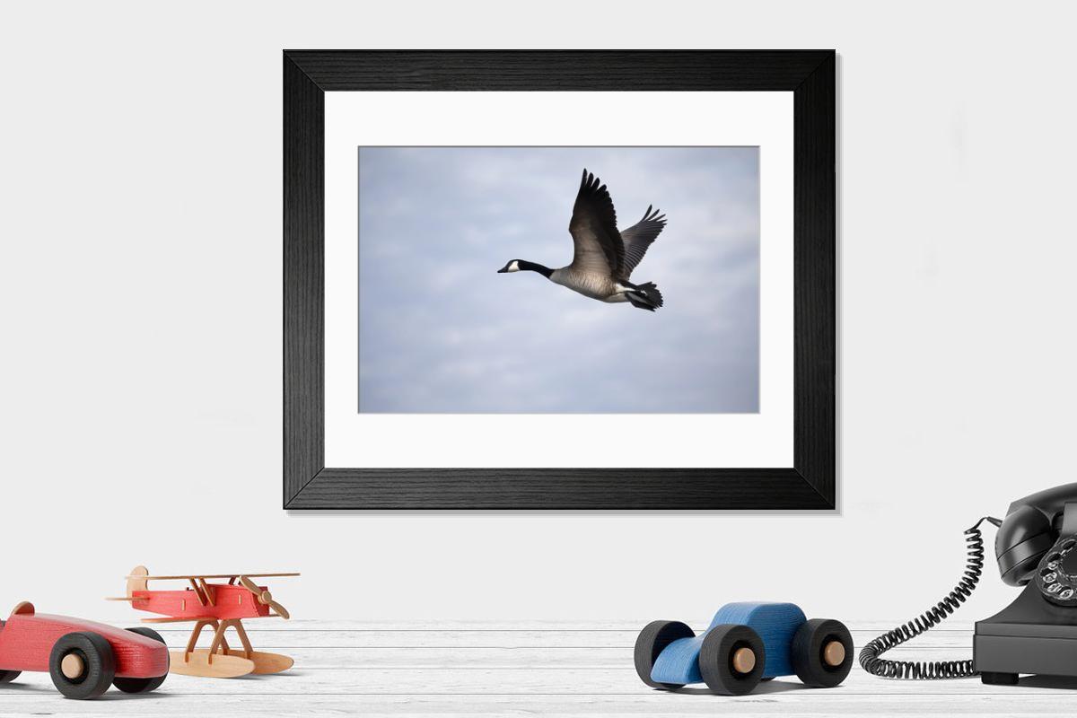 Shown hanging in a room: Modern 14"x12" (36x31cm)