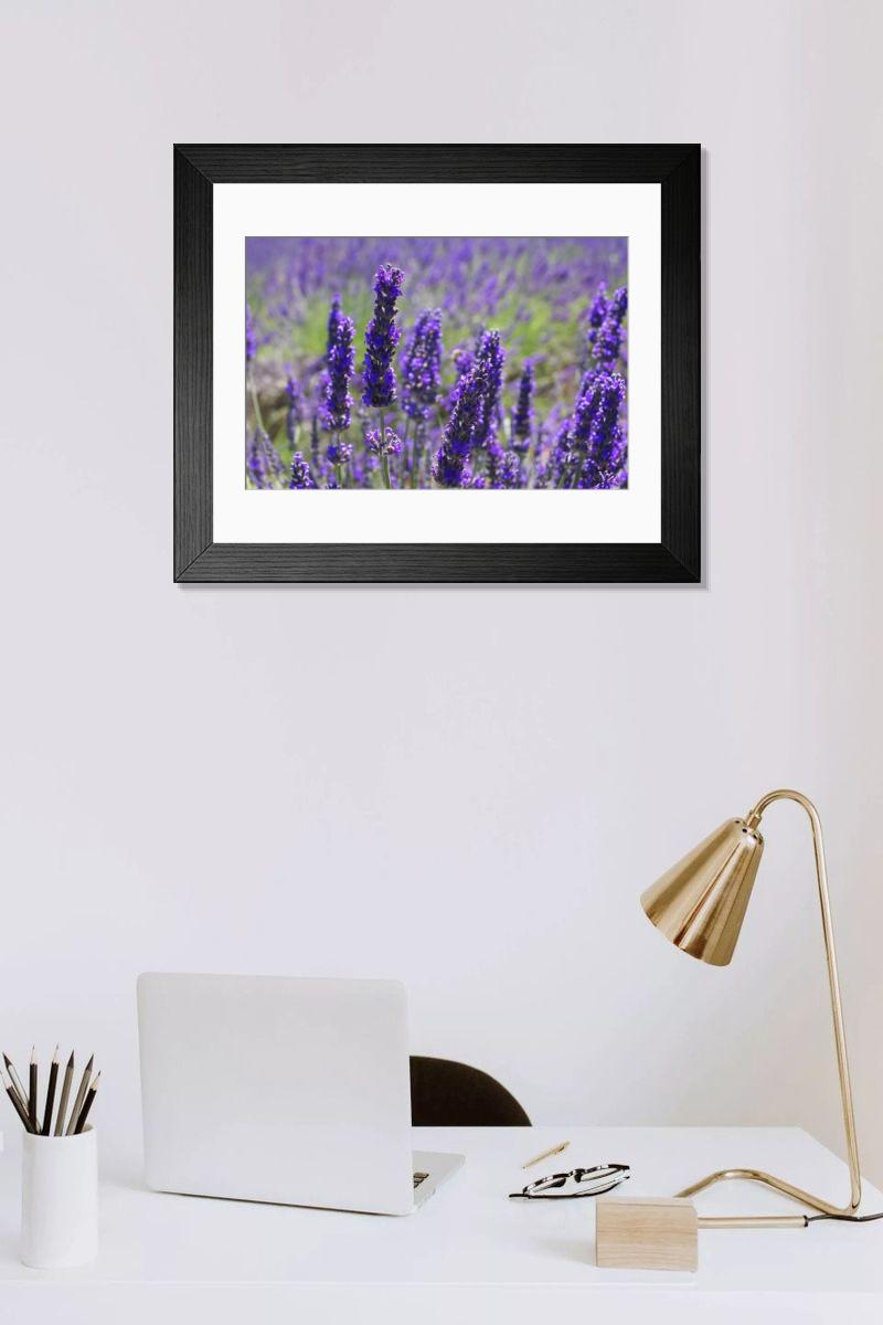 Shown hanging in a room: Modern 14"x12" (36x31cm)