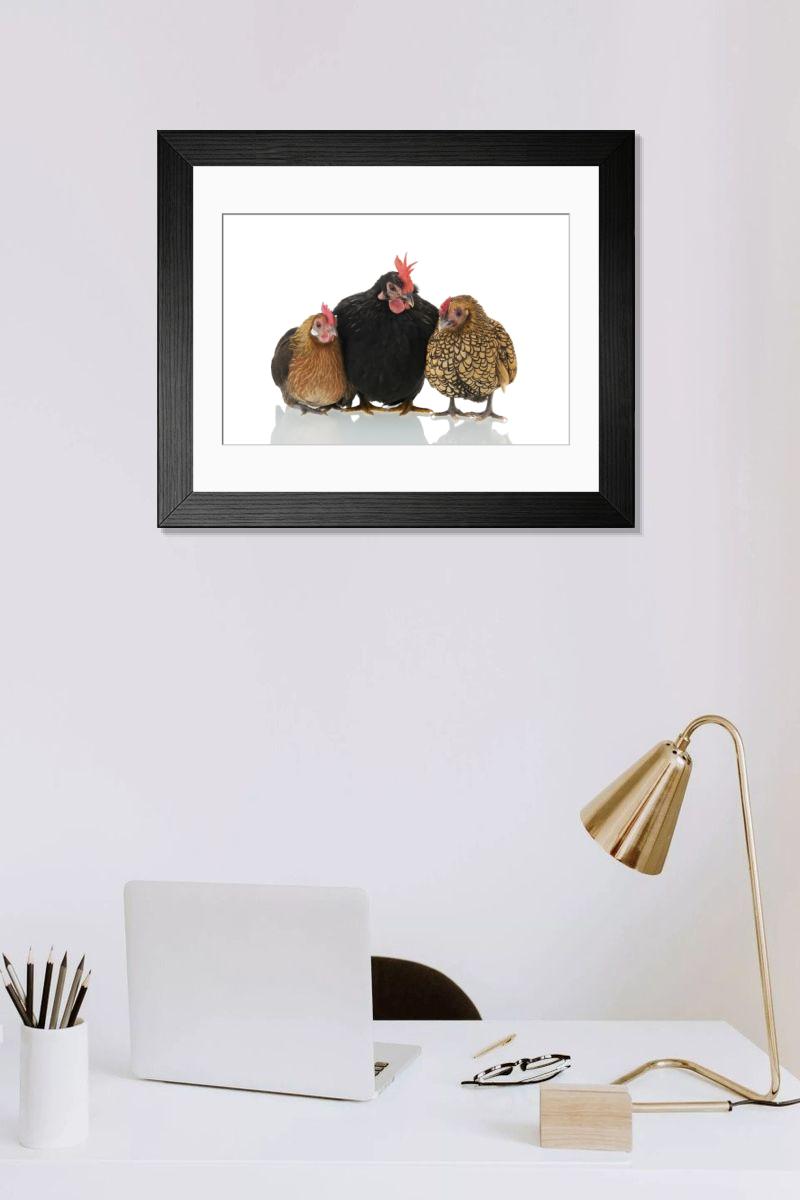 Shown hanging in a room: Modern 14"x12" (36x31cm)