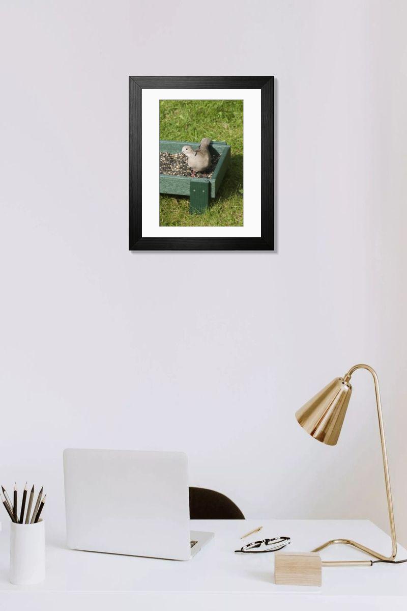 product preview 0